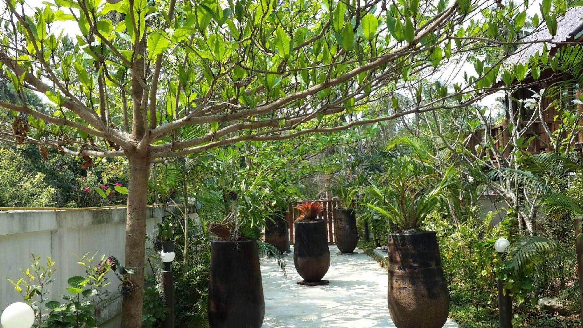 The Theatre Villa Bang Saphan Bagian luar foto